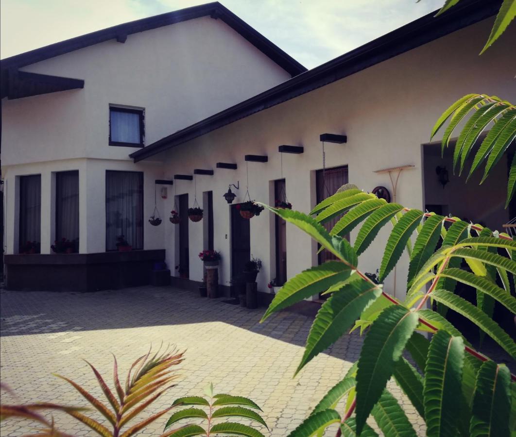 Dridif 135 Bed and Breakfast Buitenkant foto